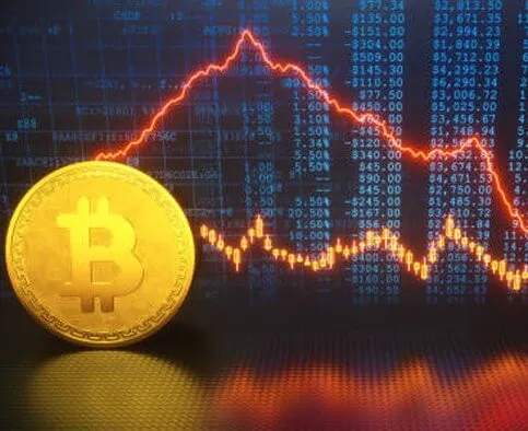 Vorenixio - Seize the opportunity to refine your trading strategies with Vorenixio.